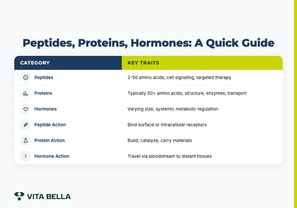 Peptides, Proteins, Hormones: A Quick Guide