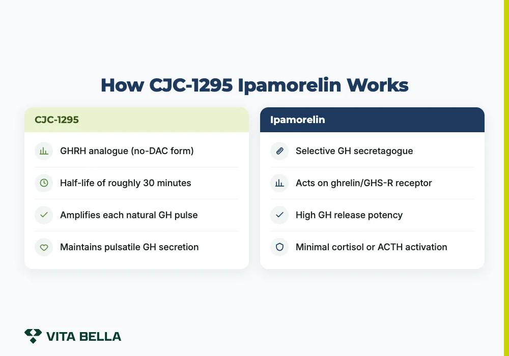 How CJC-1295 Ipamorelin Works