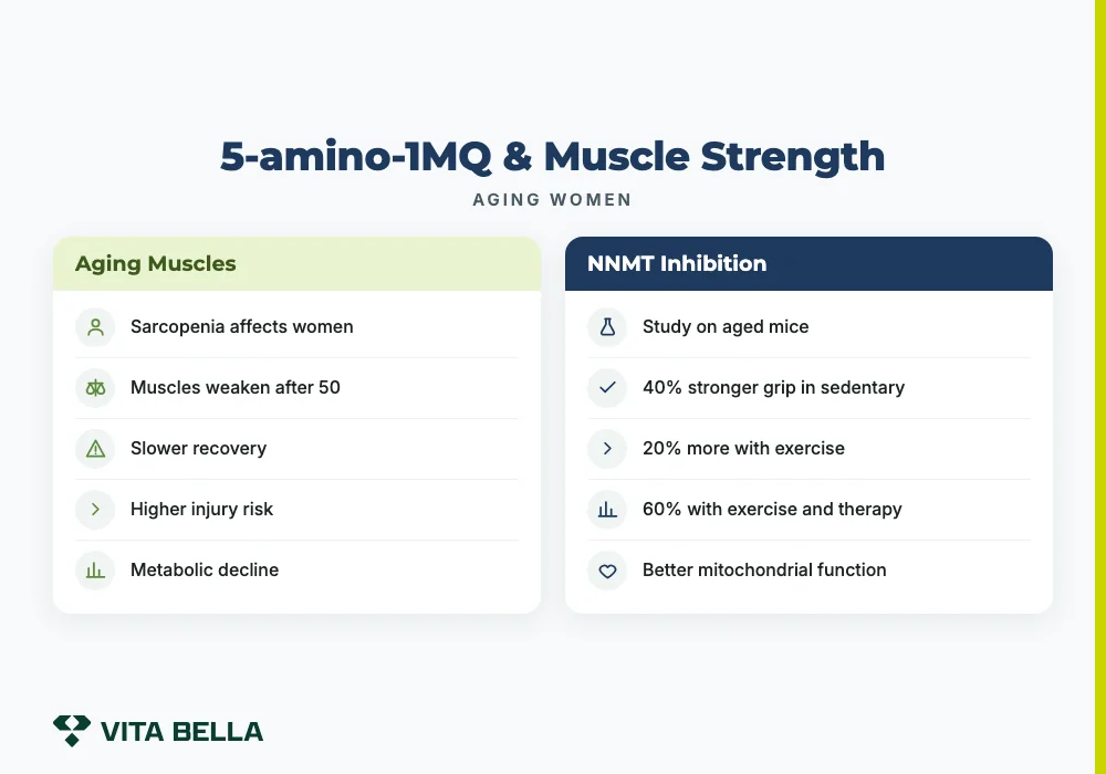 5-amino-1MQ & Muscle Strength