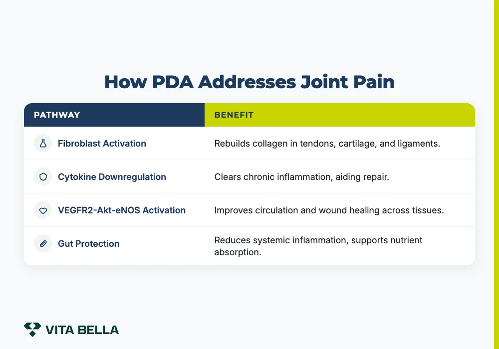 How PDA Addresses Joint Pain