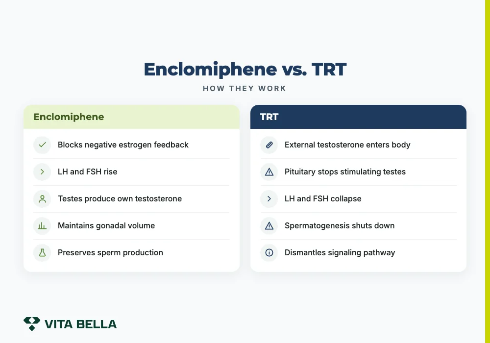 Enclomiphene vs. TRT