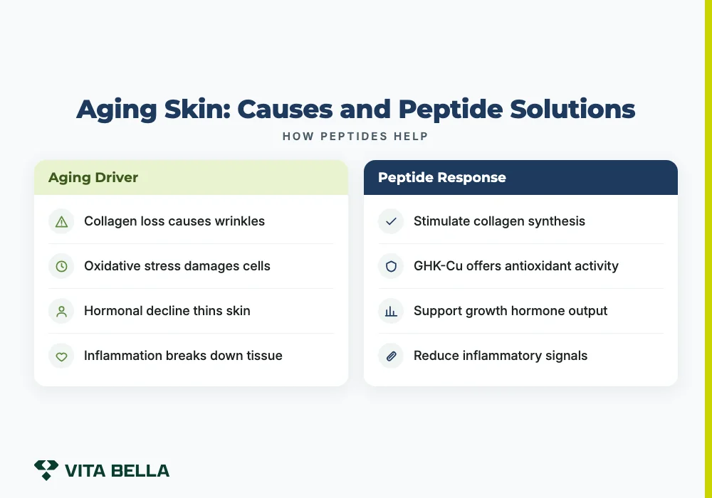 Aging Skin: Causes and Peptide Solutions