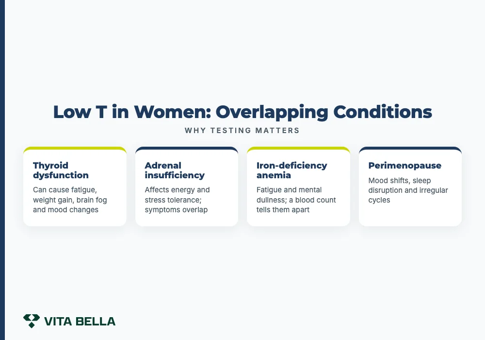 symptoms of low testosterone in women
