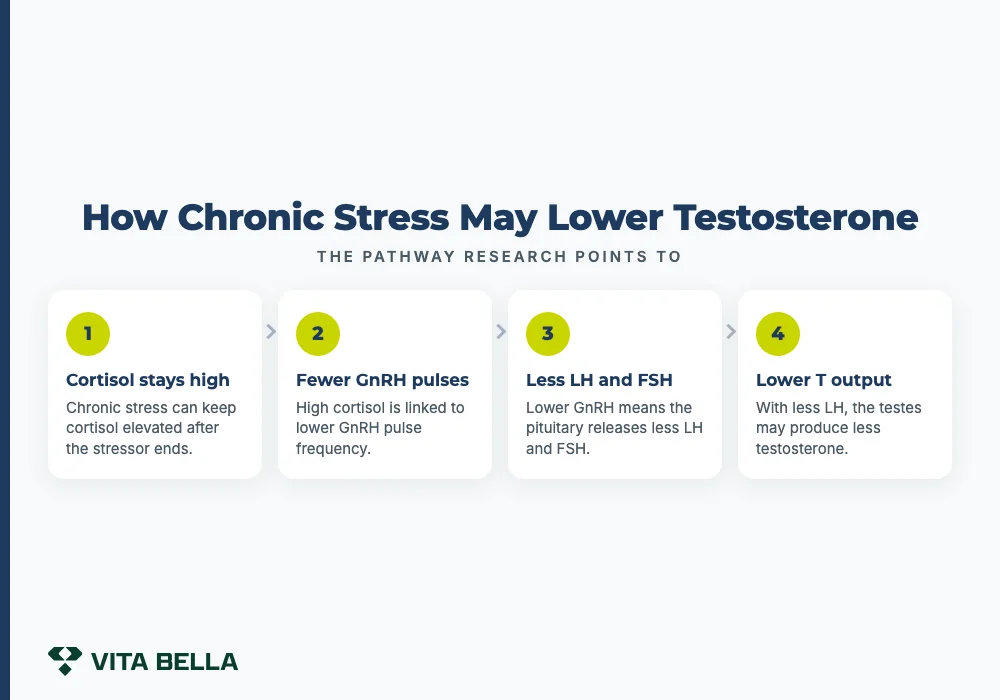 can stress lower testosterone