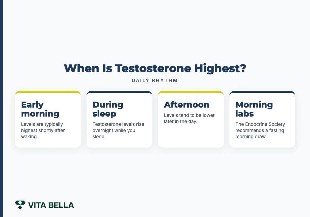 when does testosterone peak